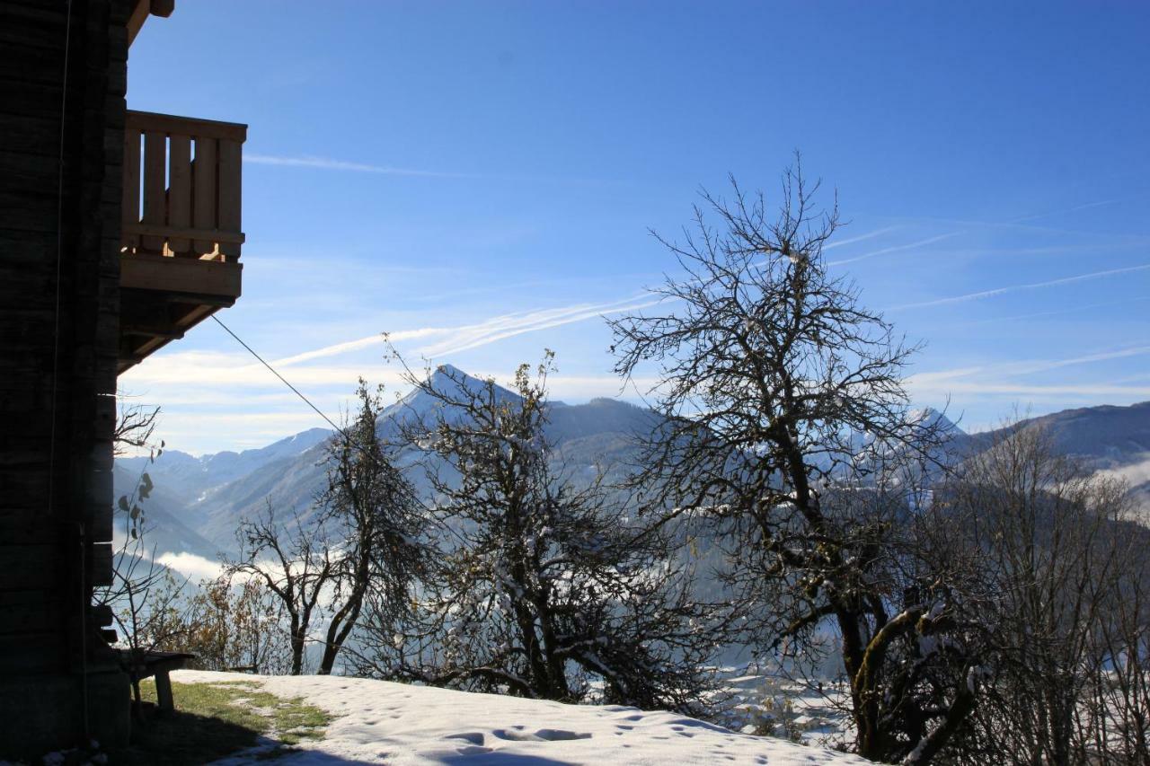 Apartment Poetzelberghof Altenmarkt im Pongau Extérieur photo